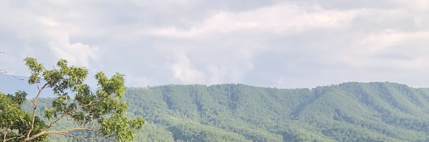 Lisaa_Tay's profile banner image