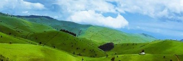 NgororeroDistr Profile Banner