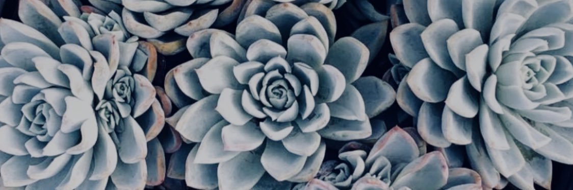 cekc86's profile banner image