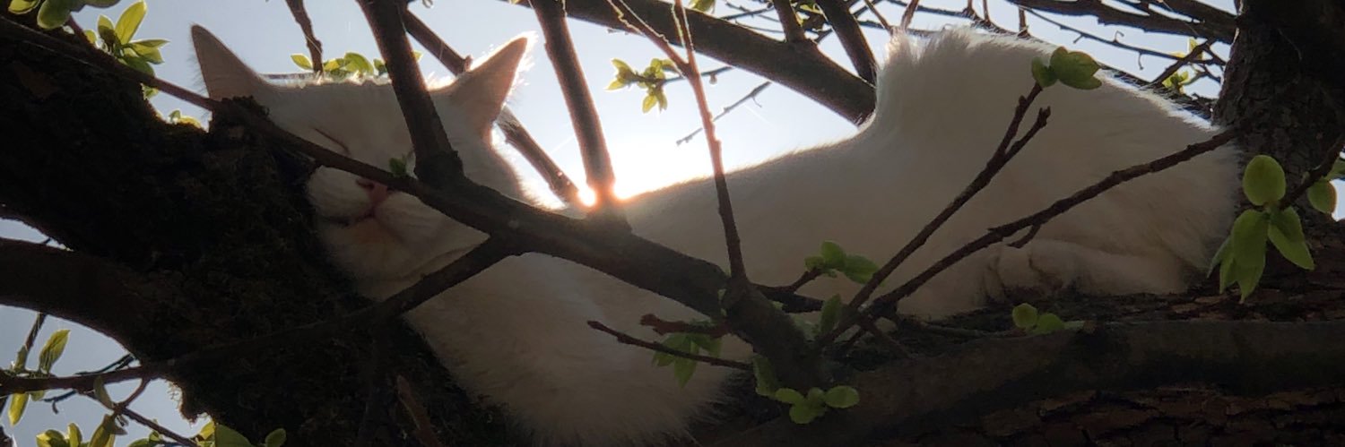 geeistheweapon's profile banner image