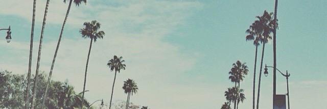 Dalida Smakic banner