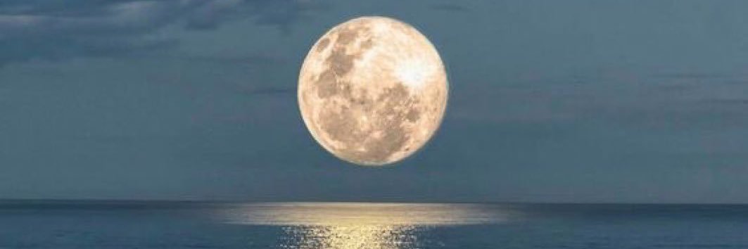semsem 🌓 banner