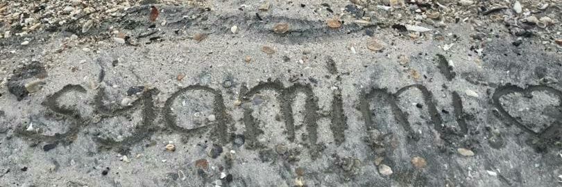 moshee76's profile banner image