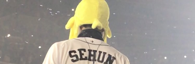 🦦 banner