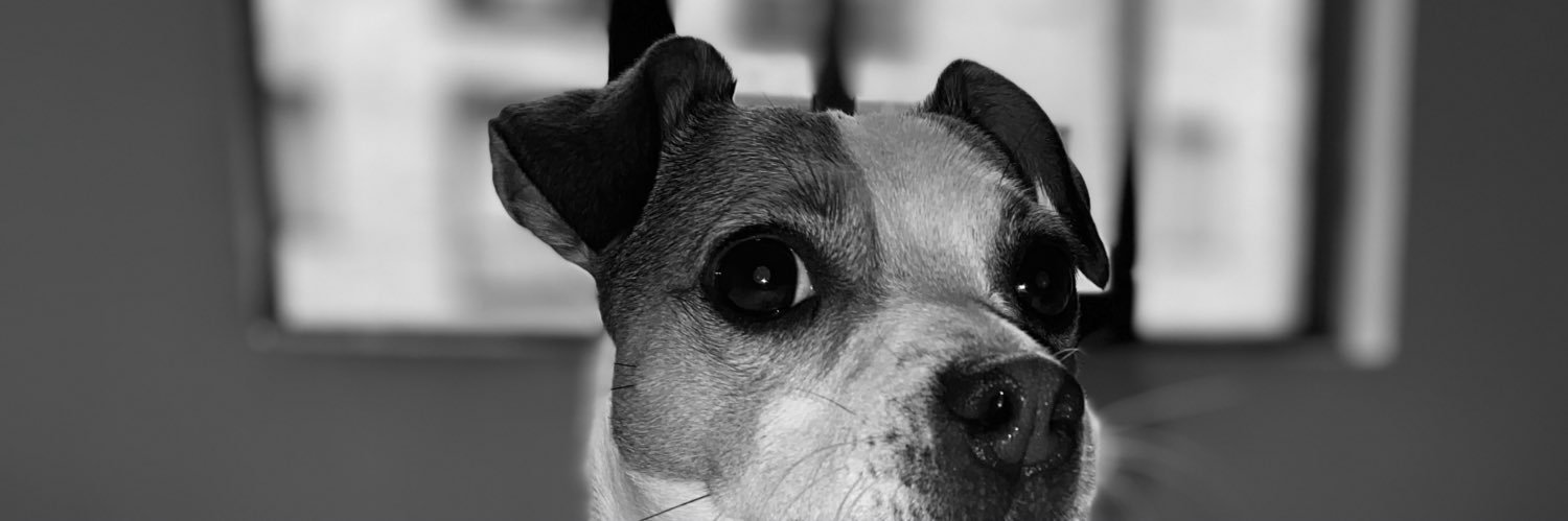 reginap33's profile banner image