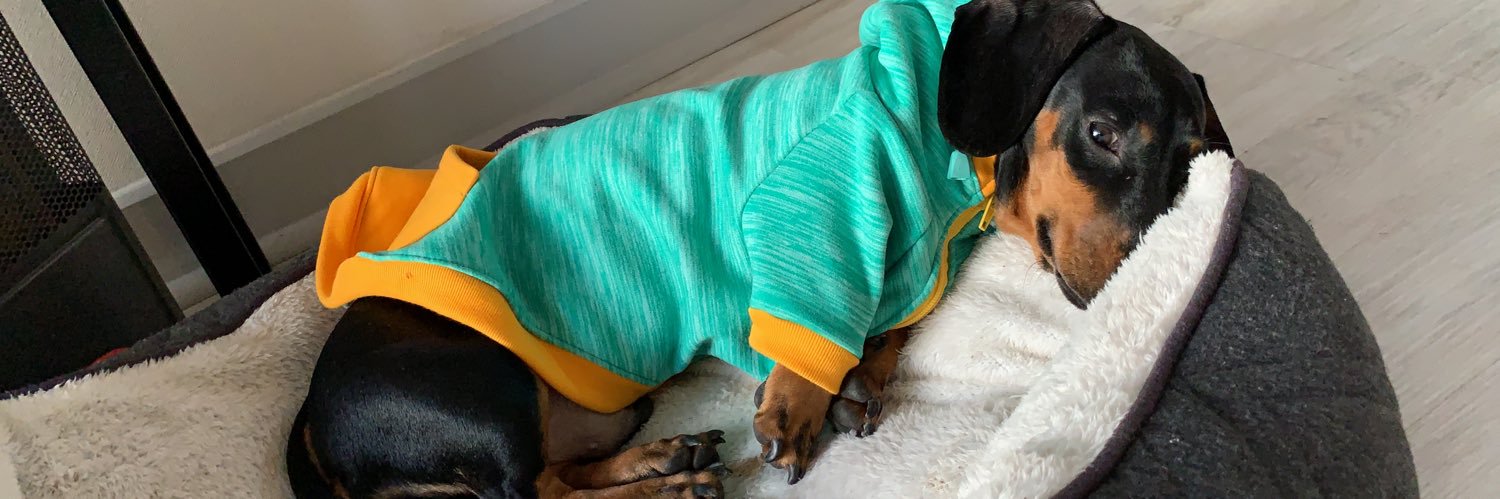 Javier Sepúlveda banner