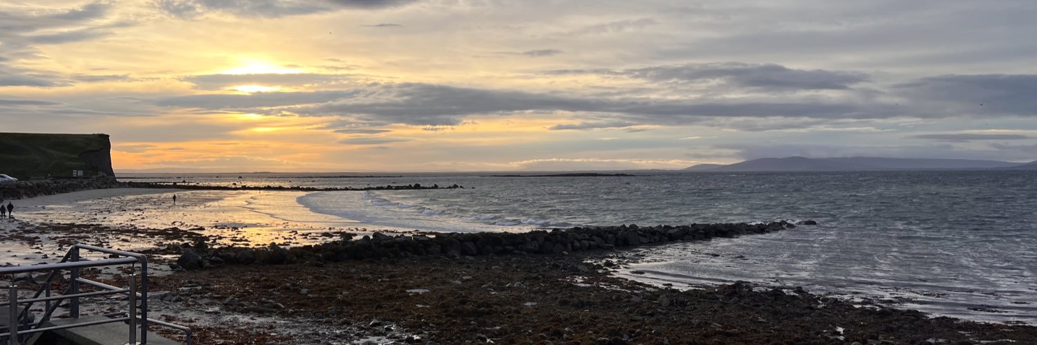 AOGÁN O'HAOLÁIN banner