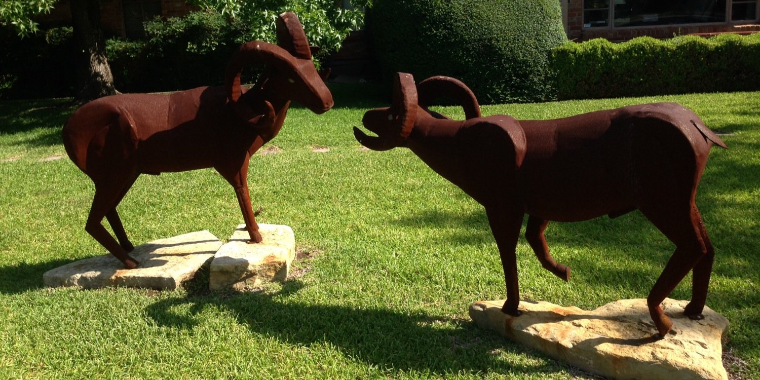 Tillmann Hein banner