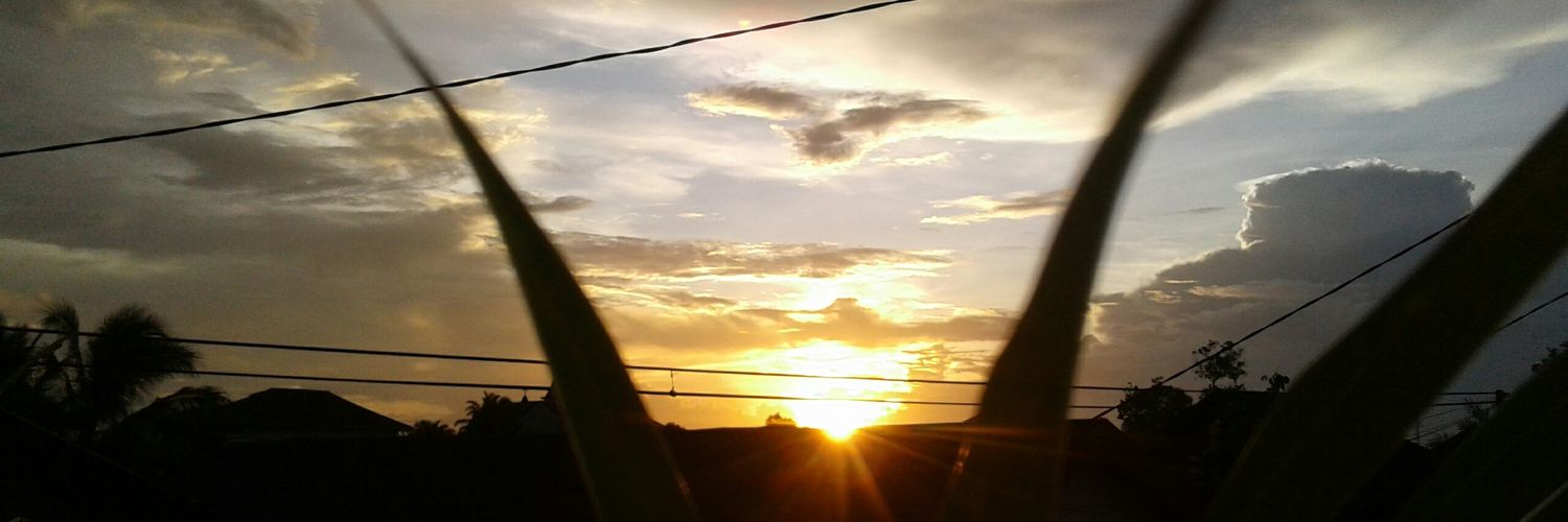 vvitajelly's profile banner image