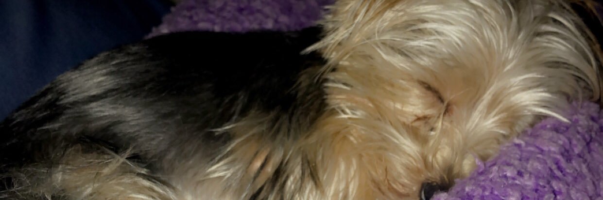 catrinafisher's profile banner image