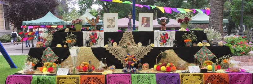 mexenchile's profile banner image