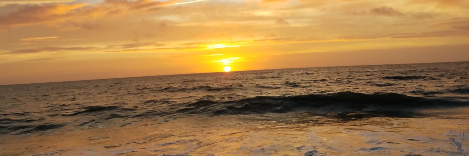 joeyandro's profile banner image