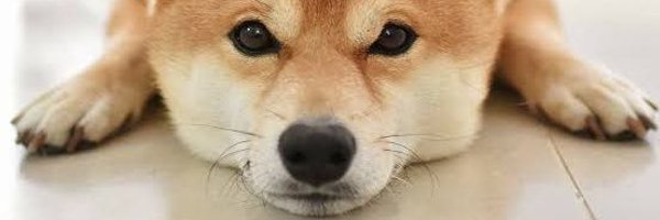 danfe_19 Profile Banner