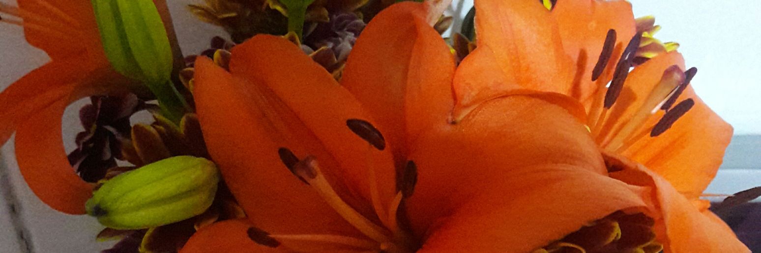Lohe_RamirezC's profile banner image