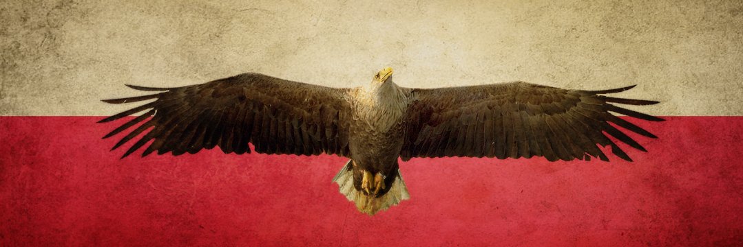 Torro15Tom's profile banner image