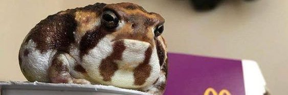 keedander's profile banner image