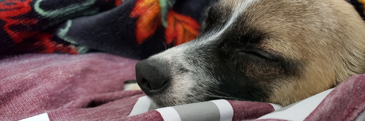 KayteeCapelin's profile banner image