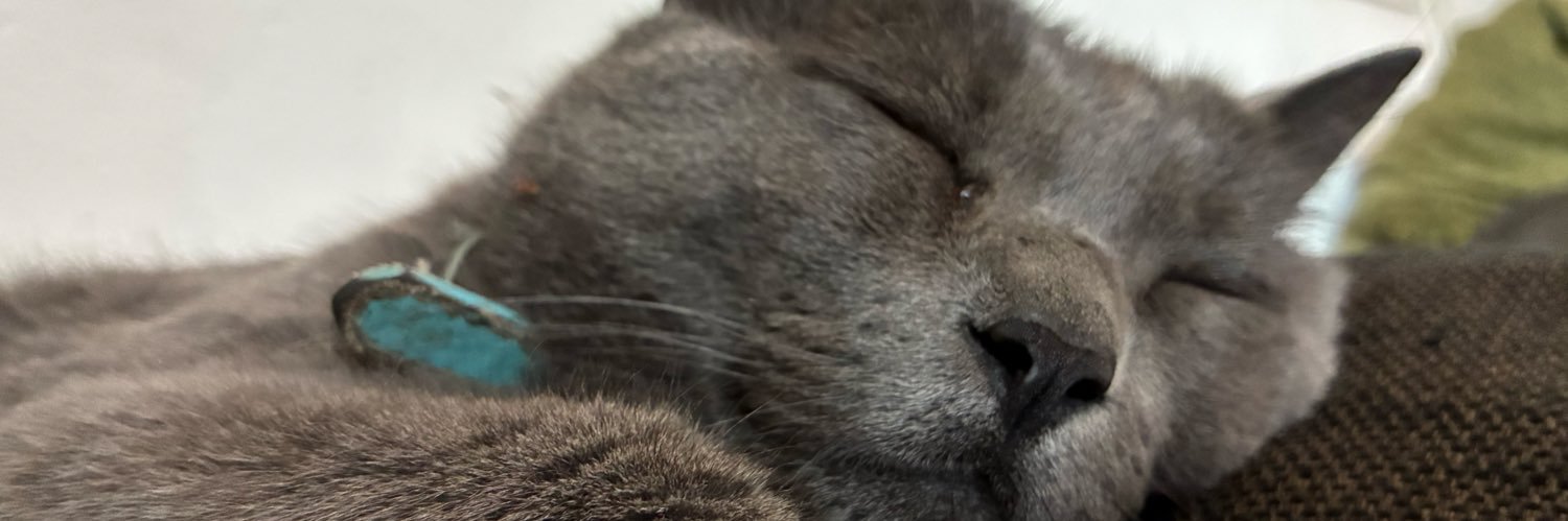 scatcate's profile banner image
