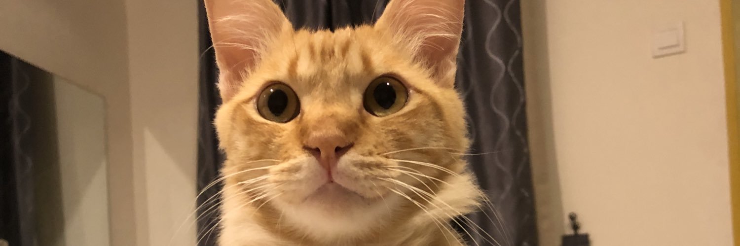 puterisaerah's profile banner image