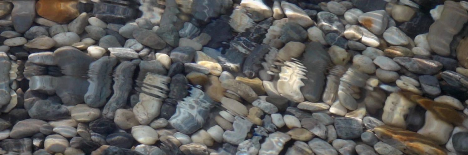 MrsBearsPlace's profile banner image