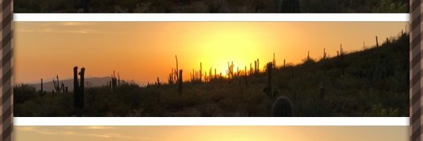 azloaner's profile banner image