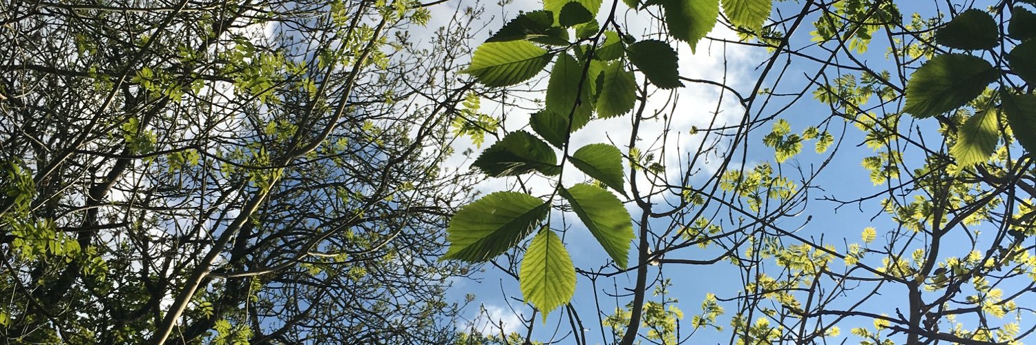 Eco_Mumma's profile banner image