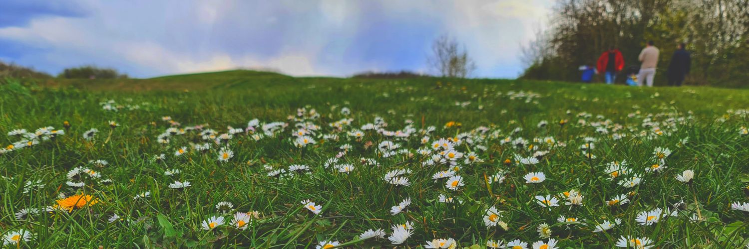 Mykingisrich's profile banner image