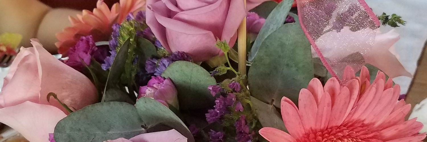 hsamantha1's profile banner image