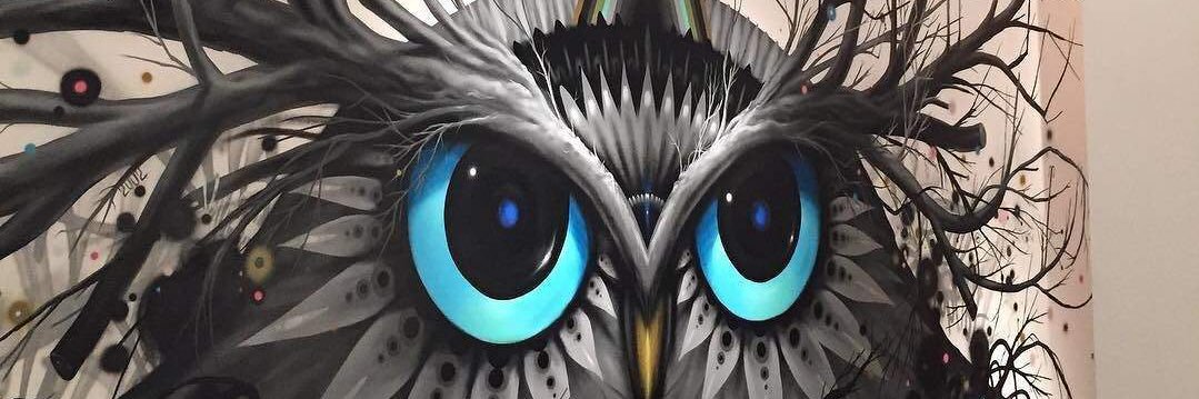 superior zone banner