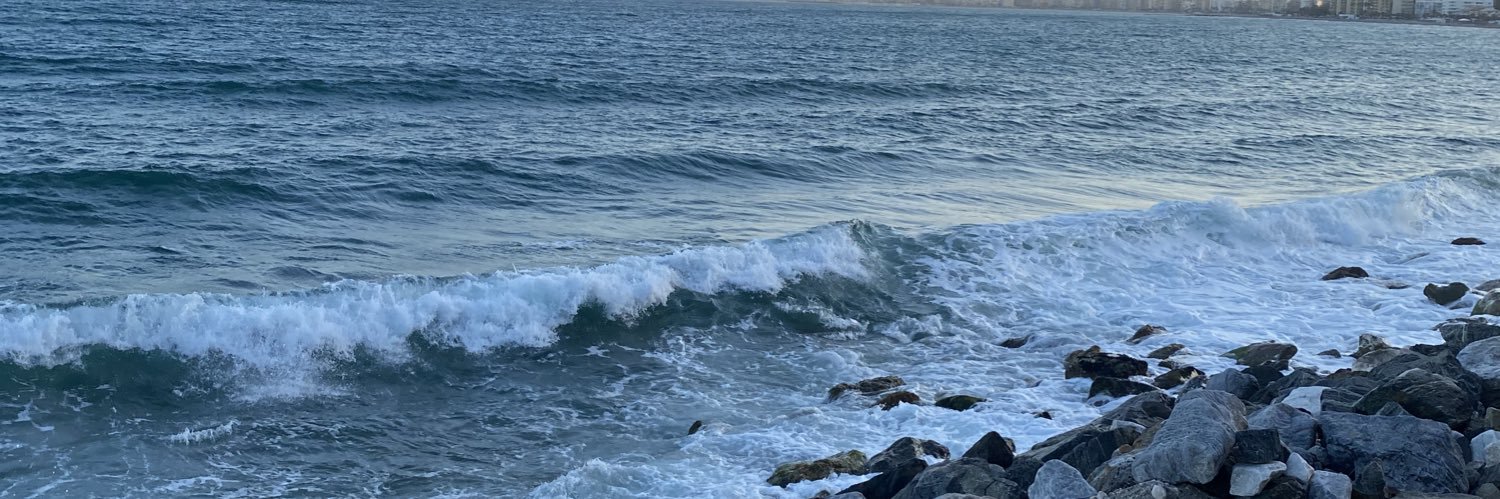 sofiajarota99's profile banner image