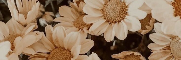 _fiestasudaka's profile banner image
