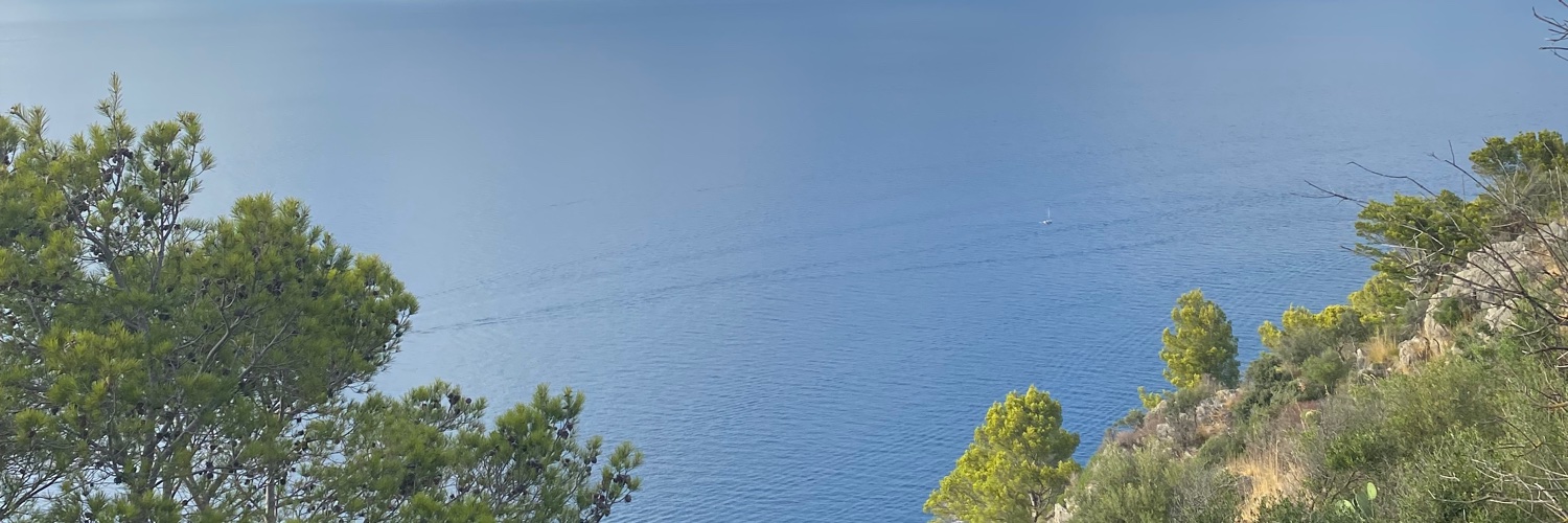 claramarin29's profile banner image