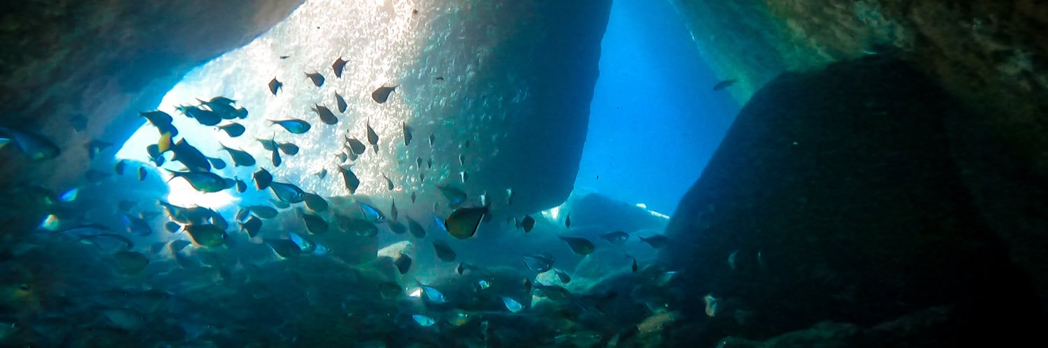 cabreiradive's profile banner image