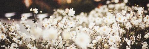 jilly2696's profile banner image