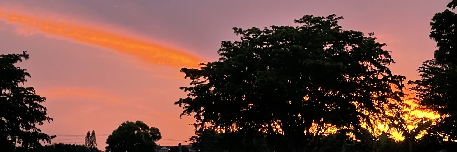 AcuSimm's profile banner image