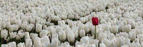 هند الفهيد banner