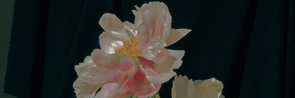 fujuneng's profile banner image
