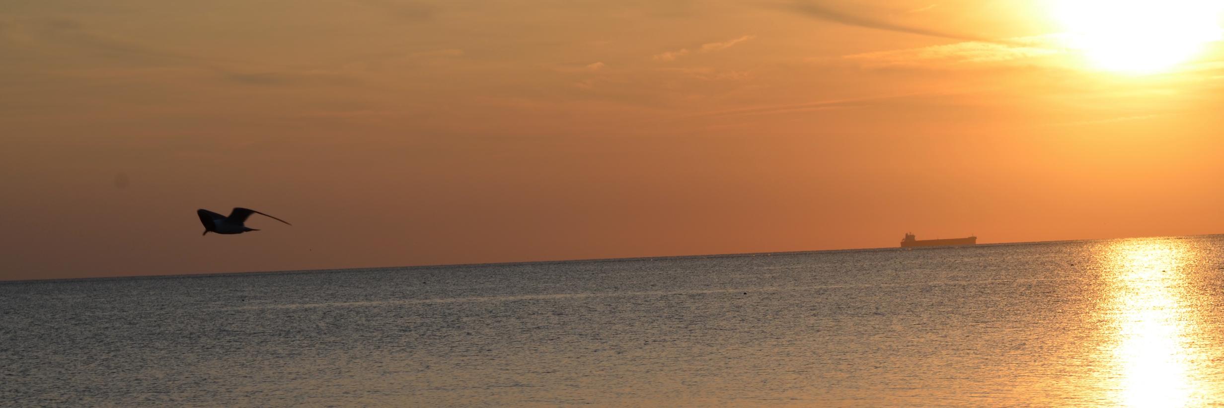 DGneat's profile banner image