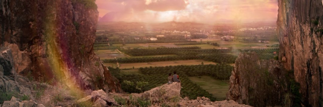 brendiely's profile banner image