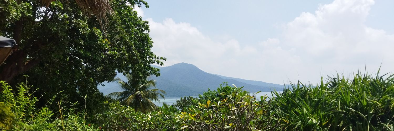 benkwidodo's profile banner image