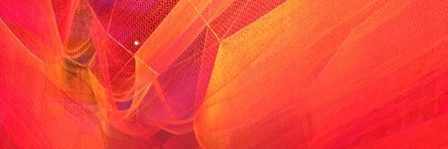 nsheils's profile banner image
