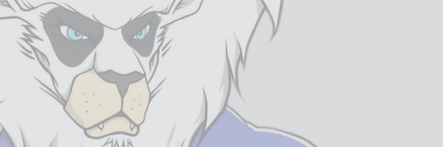 0xMikeeee's profile banner image