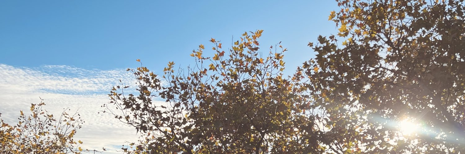 ValiLopetrone's profile banner image