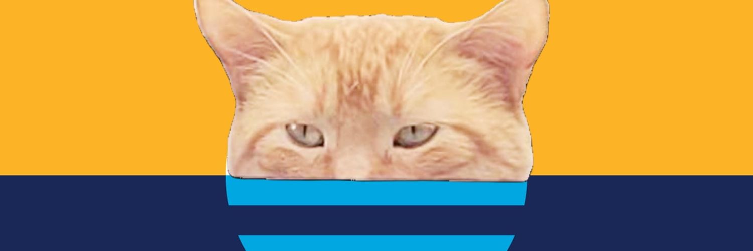 sean! banner