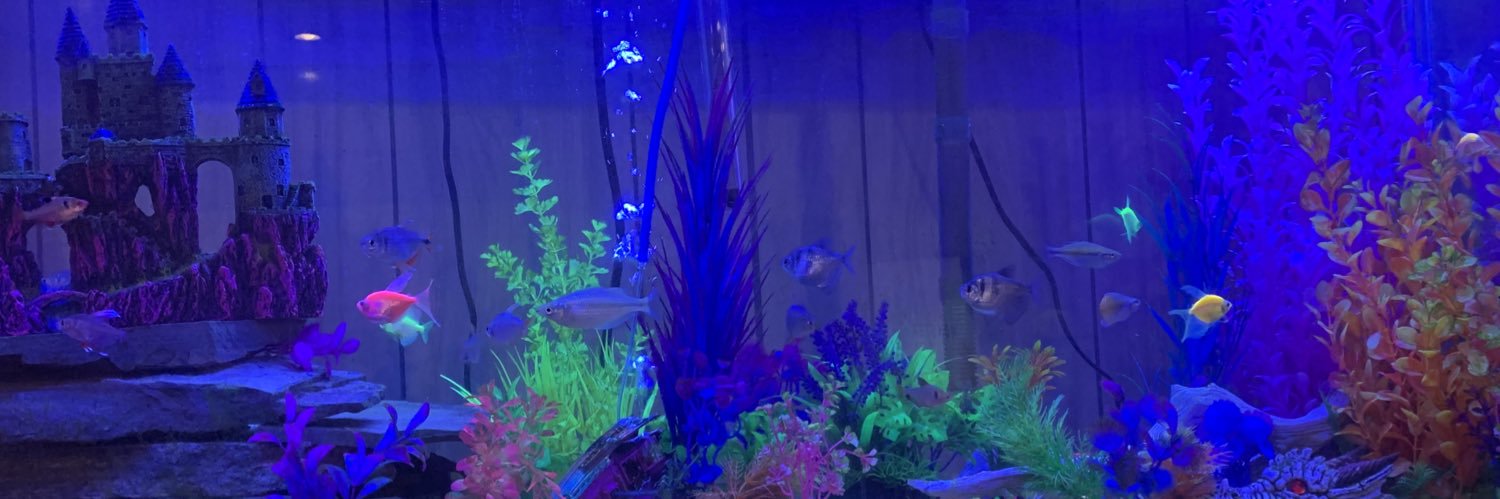 Tiger_Exile's profile banner image