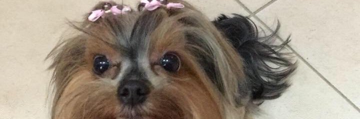 mayarakellen's profile banner image