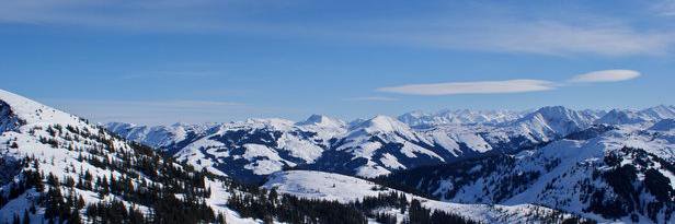 Gillian O' Sullivan banner