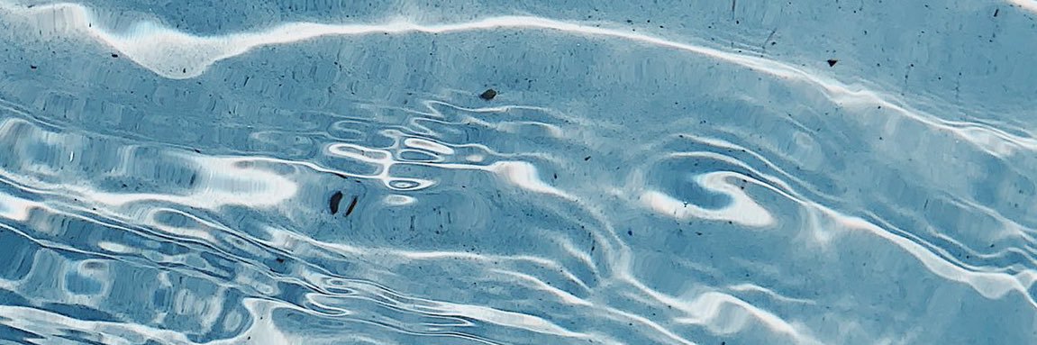daisy. banner
