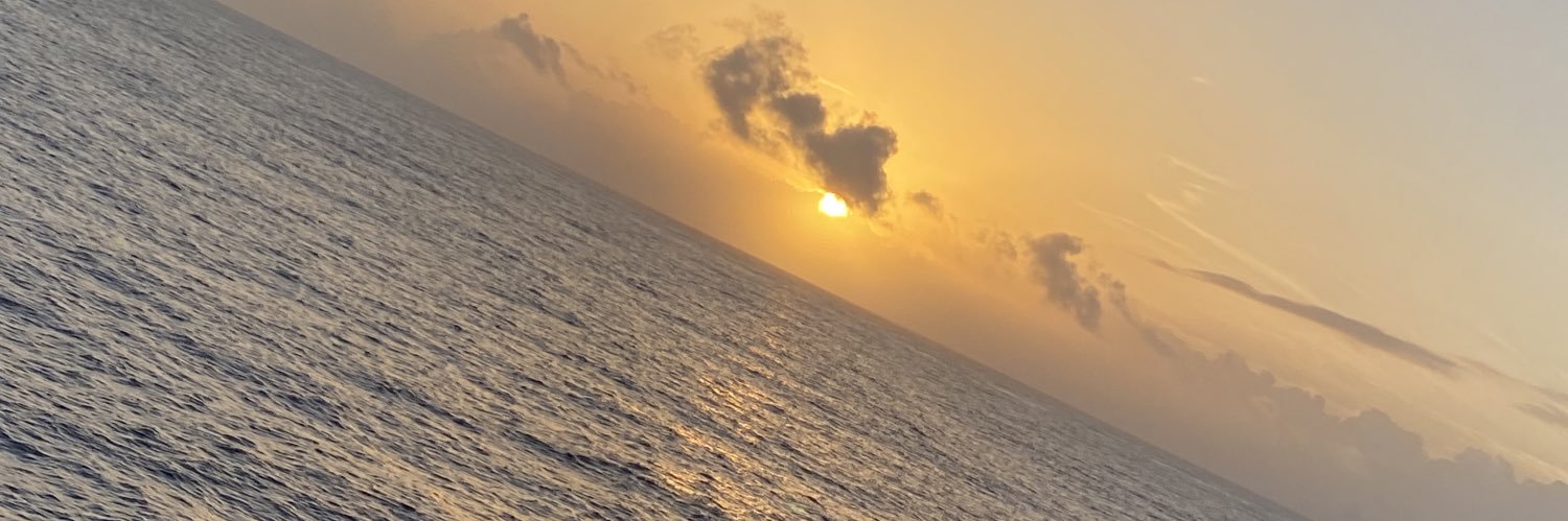 Laur_P1's profile banner image