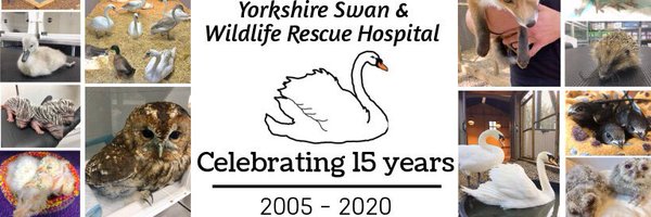 Swan_Rescue Profile Banner